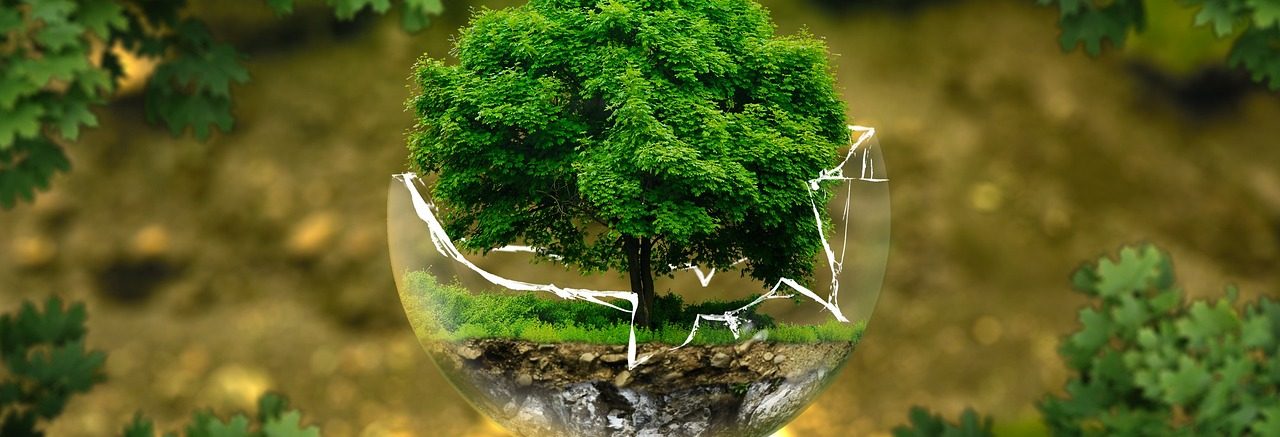 environmental-protection-geabc87f57_1280