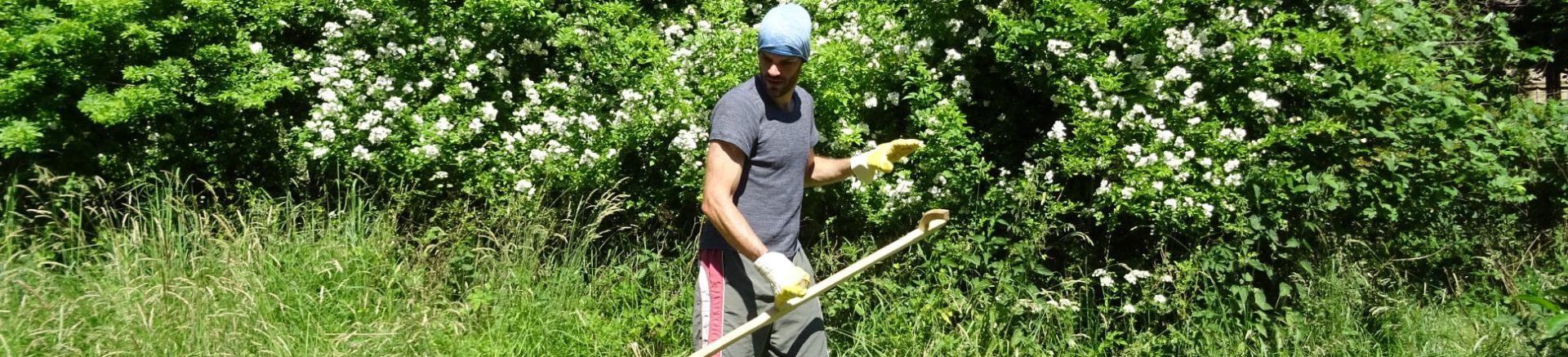 DobrovolniciPriroda3